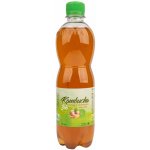 Stevikom Kombucha zázvor s limetkou 0,5 l – Zboží Dáma