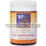 TCM Herbs Hvizd stříbrné píšťalky 100 tablet – Hledejceny.cz