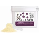 Dromy Collagen 2,5 kg – Zboží Mobilmania