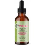 Mielle Rosemary Mint Scalp & Hair Strengthening Oil 59 ml – Zboží Mobilmania