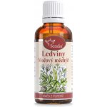 Serafin Ledviny a močový měchýř směs z pupenů 50 ml – Hledejceny.cz