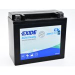 Exide AGM12-10 | Zboží Auto