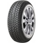 Giti Winter W1 185/60 R15 88T – Hledejceny.cz