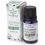 Stamford Rostlinný Aroma Olej Kalifornská Bílá Šalvěj 10 ml – Hledejceny.cz