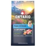 Ontario Puppy & Junior All Breeds Monoprotein Turkey & Sweet Potatoes 6,5 kg – Hledejceny.cz