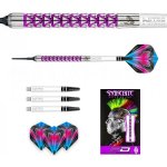 Soft Red Dragon Peter Wright Vyper 20 g – Zbozi.Blesk.cz