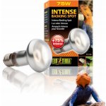 Hagen Day Glo Tight Beam 50 W – HobbyKompas.cz