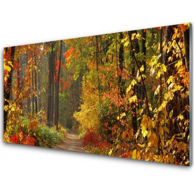 Obraz na skle Les Příroda Podzim 100x50 cm