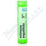 ECHINACEA ANGUSTIFOLIA POR 5CH GRA 1X4G – Hledejceny.cz