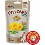 Akinu Pillows polštářky bylinky Hlodavec 40 g – Sleviste.cz