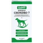 Univit Roboran Chondro 7 pro psy 180 tbl – Zboží Dáma