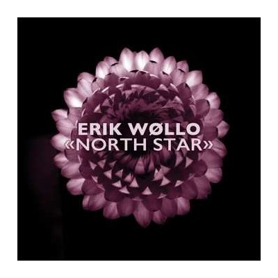 Erik Wøllo - North Star CD – Hledejceny.cz