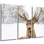 Obraz 3D třídílný - 105 x 70 cm - Deer with beautiful big horns on a winter country road Jelen s krásnými velkými rohy na zimní venkovské cestě – Zbozi.Blesk.cz