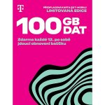 Twist 100GB dat 700669 – Zboží Živě