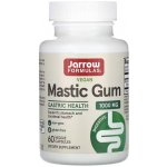 Jarrow Formulas Mastic Gum masticha 500 mg 60 rostlinných kapslí – Hledejceny.cz