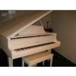 Yamaha GC1 SE – Zbozi.Blesk.cz