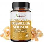Boswellia Serrata 60 kapslí – Hledejceny.cz