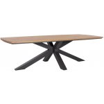 Bizzotto hliníkový zahradní stůl Zelmar 260 x 118 cm Šedý – Hledejceny.cz