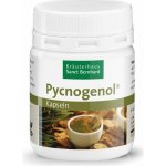 Sanct Bernhard Pycnogenol 42 kapslí – Hledejceny.cz