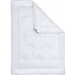 BeCo Zimní prošívaná přikrývka Royal Soft Duo teplá 135x200 – Zboží Dáma BeCo Zimní prošívaná přikrývka Royal Soft Duo teplá 135x200 – Zboží Dáma