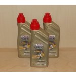 Castrol Power 1 Ultimate 2T 1 l | Zboží Auto