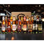 Domácí pivotéka Dárkový ochutnávkový balík 15 parádních speciálních piv 11°-21° 15 x 0,5 l (set) – Zboží Dáma