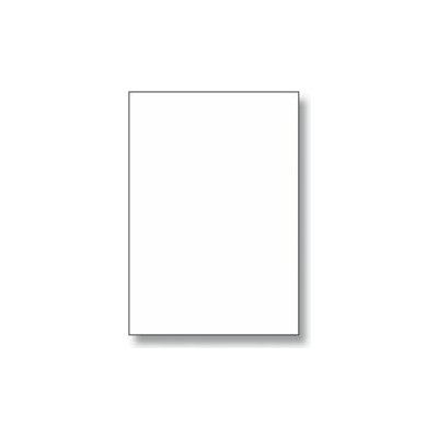 Rayfilm R0100.1123A samolepicí etikety 210 x 297 mm 100 etiket bílá – Zboží Mobilmania