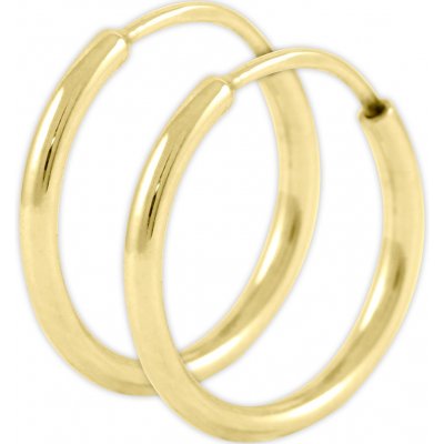 Soliter Zlaté náušnice kruhy 231 001 00333 – Zboží Mobilmania