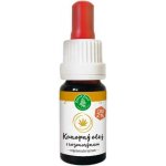 CBDčko CBD + MCT Olej Strawberry Jahoda 10% 10 ml – Sleviste.cz