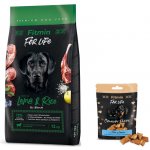 Fitmin For Life Adult All Breeds Lamb & Rice 12 kg – Zboží Mobilmania