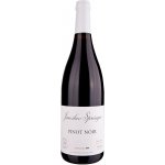 Springer Pinot Noir 2022 0,75 l (holá láhev) – Hledejceny.cz