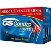 Doplněk stravy GS Condro Forte 180 tablet