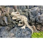 Flexi T Rex kostra s kostičkou 24 cm 3D tisk – Zboží Dáma