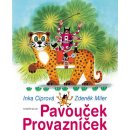 Kniha Pavouček Provazníček - Inka Ciprová