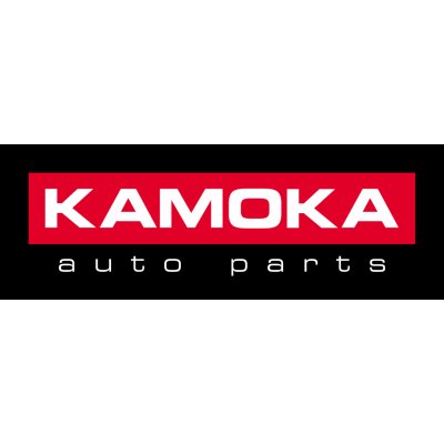KAMOKA Těsnění hlavy válce KAM 8701300 | Zboží Auto