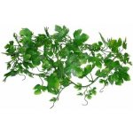 Lucky Reptile Jungle Vine Gape Leaf Vine 200 cm FP-64573 – Hledejceny.cz