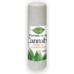BC Bione Pomáda na rty Cannabis 11 ml – Hledejceny.cz