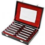 Harley Benton Blues Harp Set – Zboží Mobilmania