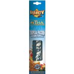Juicy Jay's Thai Vonné tyčinky Tropical Passion 20 ks – Hledejceny.cz