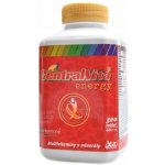 VitaHarmony CentralVita Energy Multivitamin XXL economy 300 tablet – Hledejceny.cz