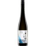 Weingut Braun Federspiel Ried Steinriegl Wachau Dac Veltlínské zelené suché bílé 2020 13,5% 0,75 l (holá láhev) – Hledejceny.cz