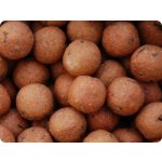 Lk Baits Boilies Euro Economic Spice Shrimp 5kg 24mm – Zbozi.Blesk.cz