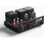 Cayin HA-300MK2 – Zboží Živě