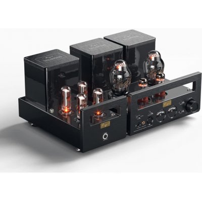 Cayin HA-300MK2 – Zboží Živě