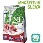 N&D Pumpkin Dog Adult Medium & Maxi Grain Free Chicken & Pomegranate 2 x 12 kg – Sleviste.cz