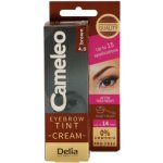 Delia Cosmetics Cameleo krémová profesionální barva na obočí 4.0 Brown 15 ml – Zbozi.Blesk.cz