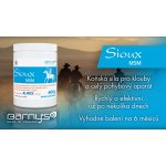 BARNY'S MSM Sioux 600 g – Zboží Dáma