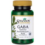 Swanson GABA Kyselina Gama Aminomáselná 250 mg 60 kapslí – Hledejceny.cz