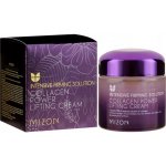 Mizon Vypínací pleťový krém s obsahem 75% mořského kolagenu collagen Power Lifting cream 75 ml – Zbozi.Blesk.cz