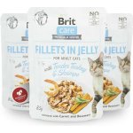Brit Care Cat Fillets in Jelly Turkey&Shrimps 85 g – Hledejceny.cz